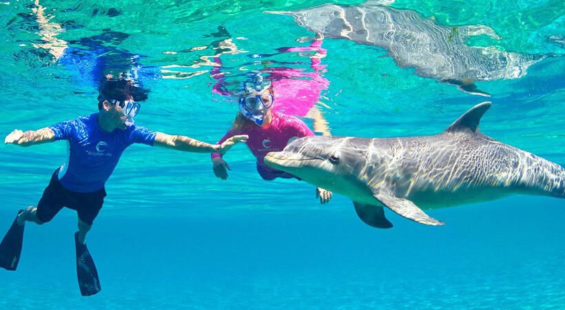 Dolphin House Hurghada