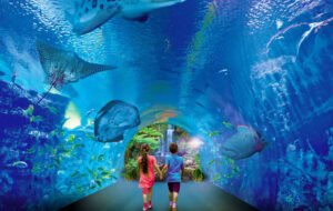 Grand Aquarium Hurghada