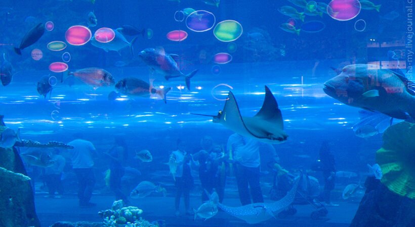 Grand Aquarium Hurghada 2