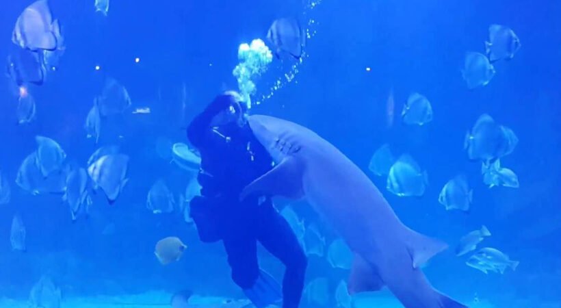 Grand Aquarium Hurghada 2