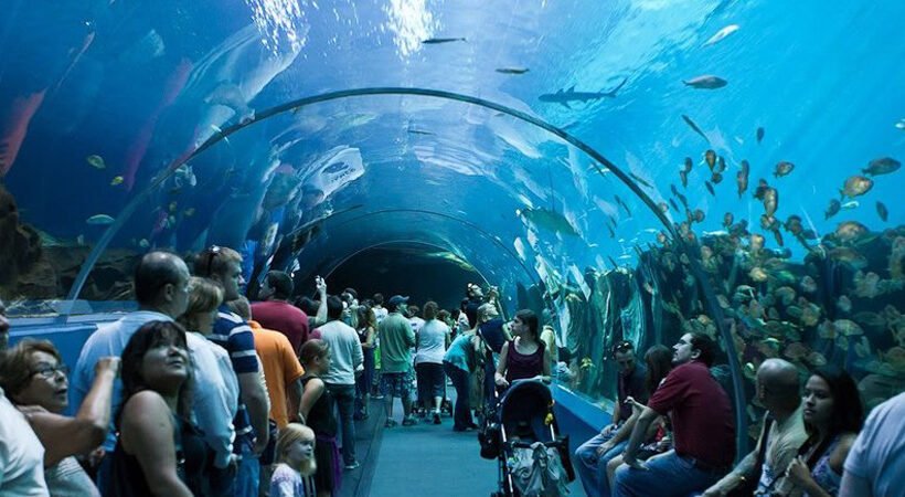 Grand Aquarium Hurghada 2