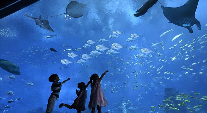 Grand Aquarium Hurghada 2