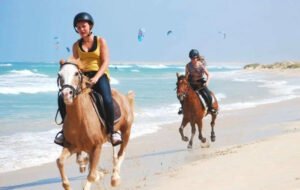 Horse Ridng