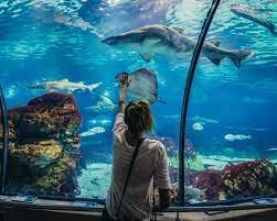 Grand Aquarium Hurghada