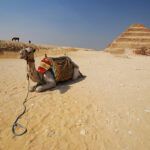 Gallery Thumbnail 3