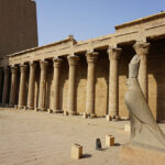 Gallery Thumbnail 4