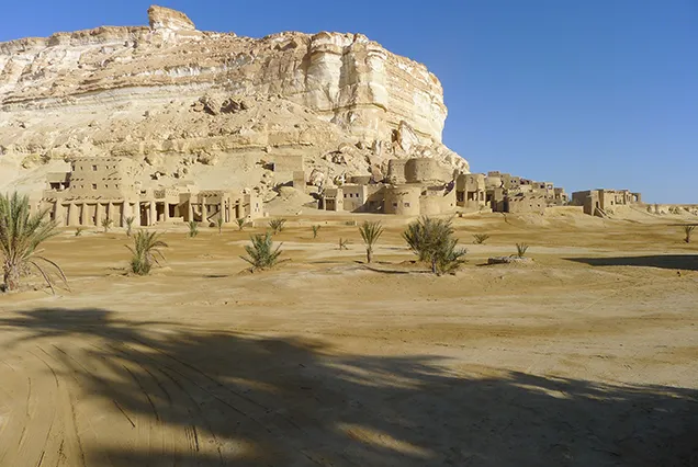 8 Day Cairo And Oasis Tour Packages (4)