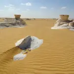 Gallery Thumbnail 6