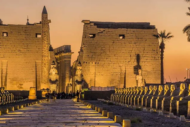 Cairo Luxor Train (2)