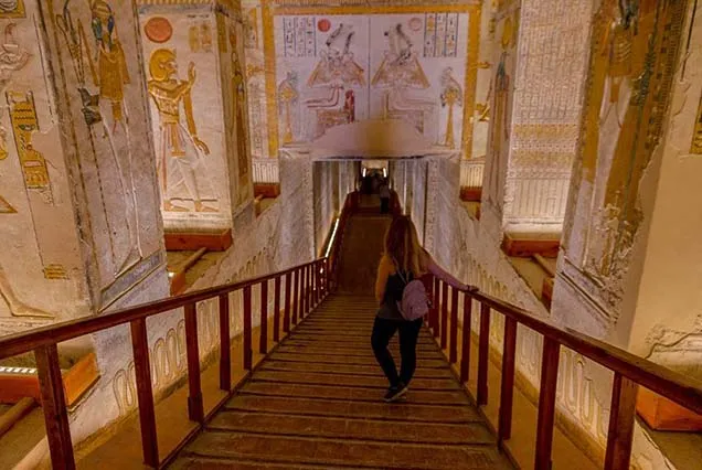 Cairo Luxor Train (3)