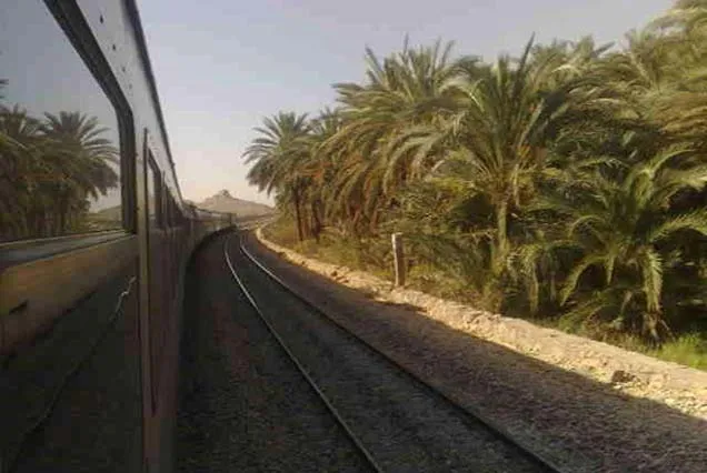Cairo Luxor Train (6)