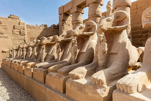 Cairo and Nile Adventure Package (8)