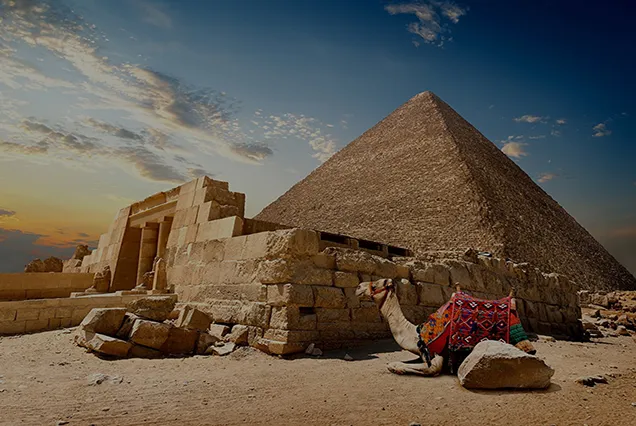 Cairo to Abu Simbel Tour Packages (4)