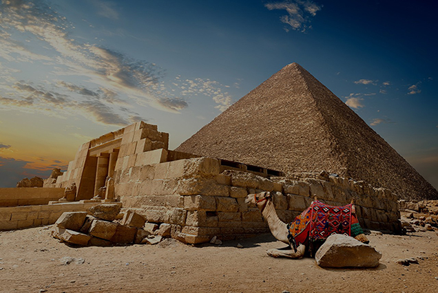 Day Tour to Pyramids Memphis and Sakkara (4)