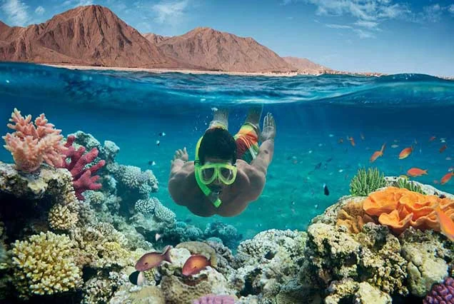 Scuba Diving Sharm El Sheikh