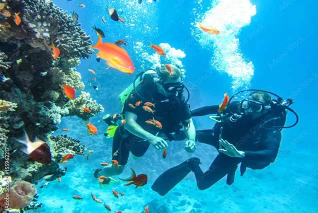 Scuba Diving Sharm El Sheikh (2)