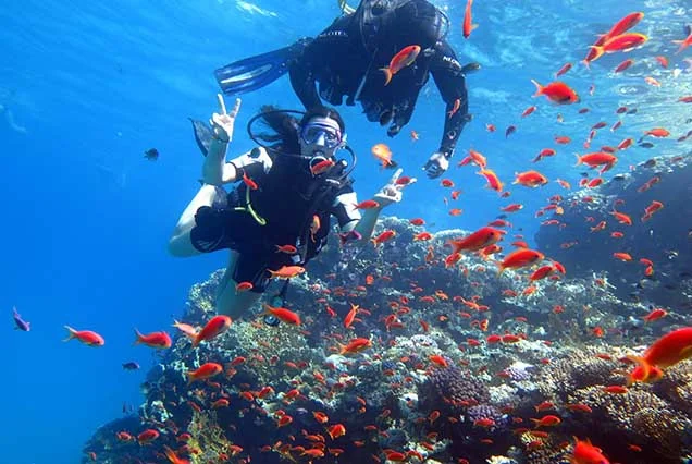 Scuba Diving Sharm El Sheikh (4)