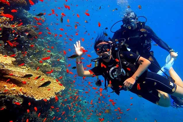 Scuba Diving Sharm El Sheikh (6)