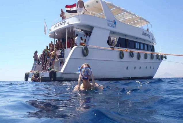 Snorkeling by Boat to Ras Mohamed (3)
