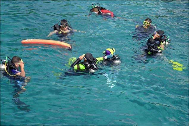 Snorkeling by Boat to Ras Mohamed (4)