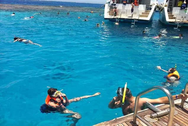 Snorkeling by Boat to Ras Mohamed (6)