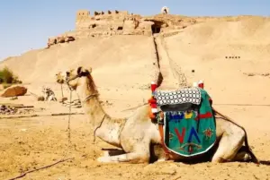 St Simeon Monastery Aswan