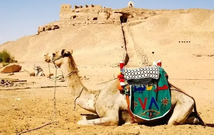 St. Simeon Monastery Aswan Tour (1)