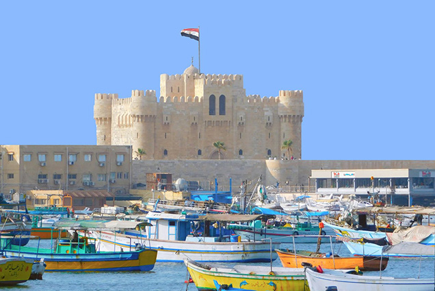 Day Tour to Alexandria from Cairo by car