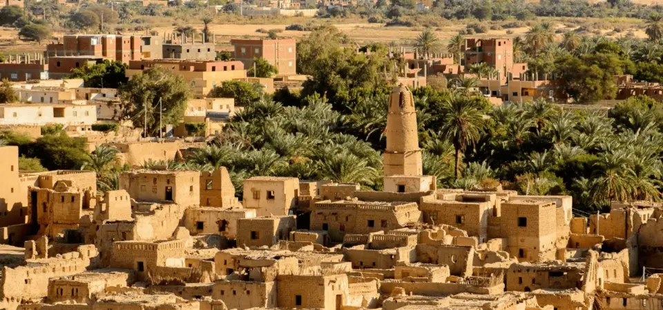 Dakhla Oasis and Kharga Oasis (1)
